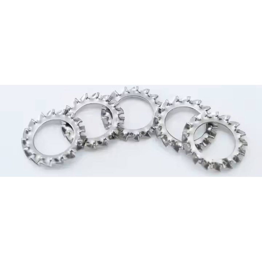 Stainless Steel Serrated Lock Washer