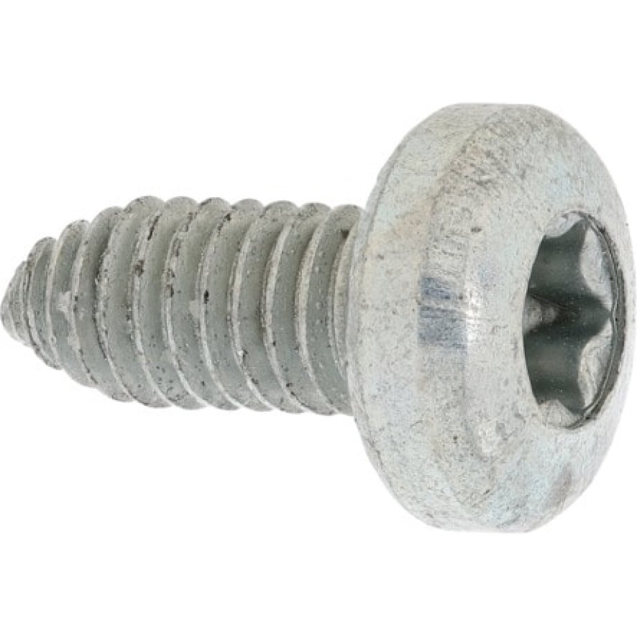 Pan Head Security Wood Screw